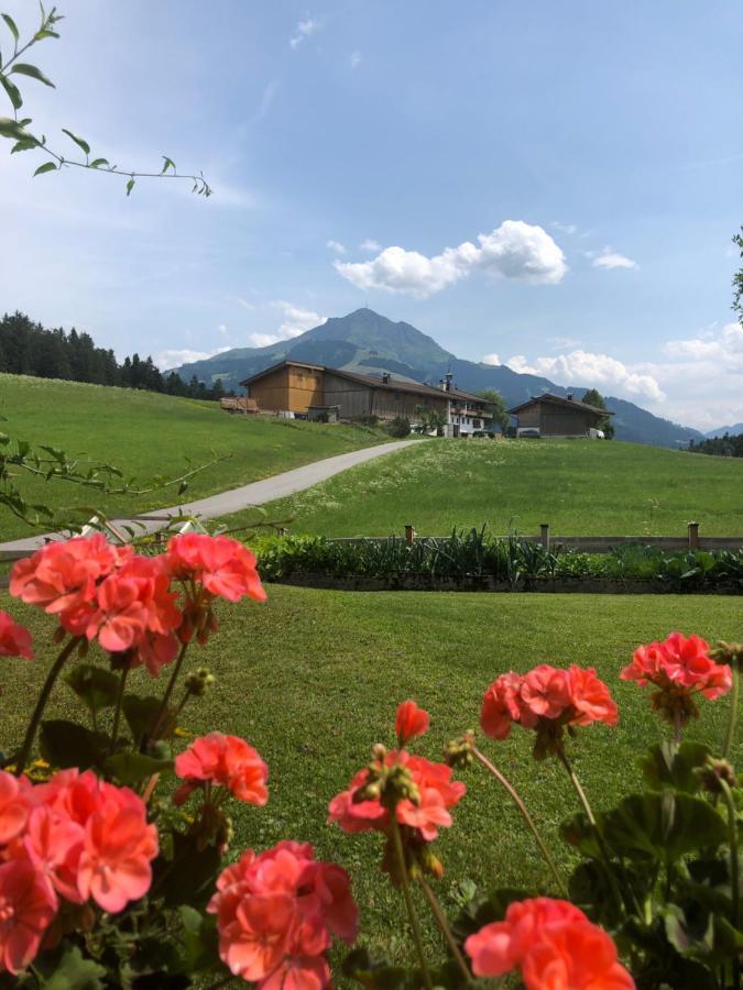 Appartement Kaiserluft St. Johann in Tirol